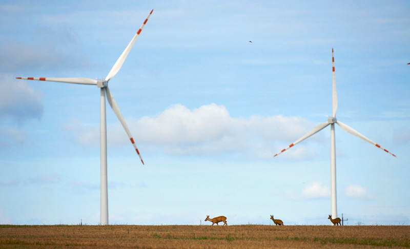 Industrial wind turbines